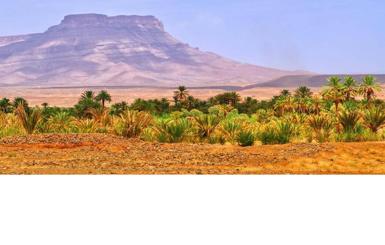 Excursion de 2 jours vers le désert de Zagora