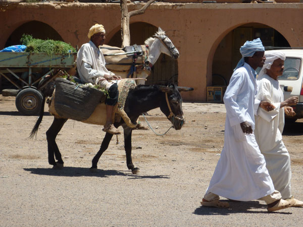 Ouled driss maroc